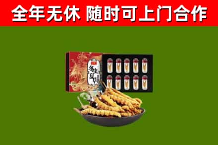 兴宁区回收冬虫夏草价格